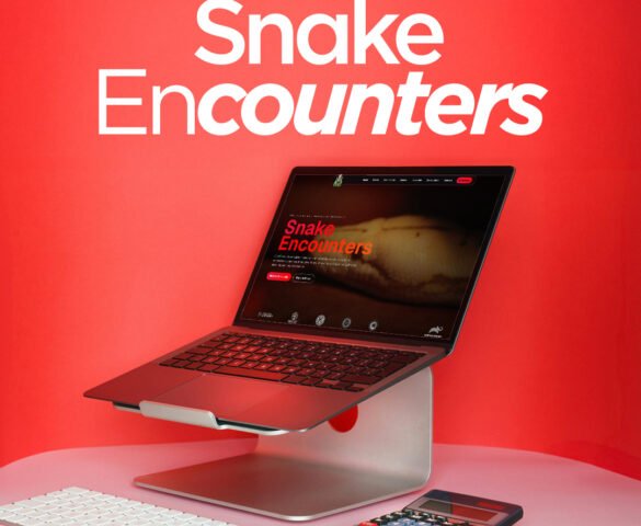 Snake Encounters Snake Encounters